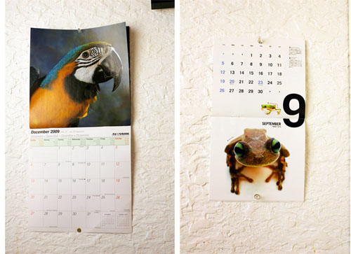 2009-10-cal.jpg