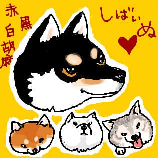 shibainu.gif