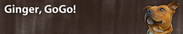 gingersblogheader.jpg