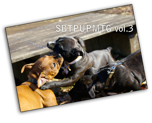 sbtpupmtgvol3.jpg